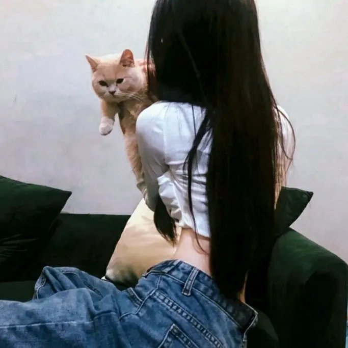 毒圣
